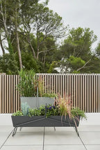 Basket Long Planter