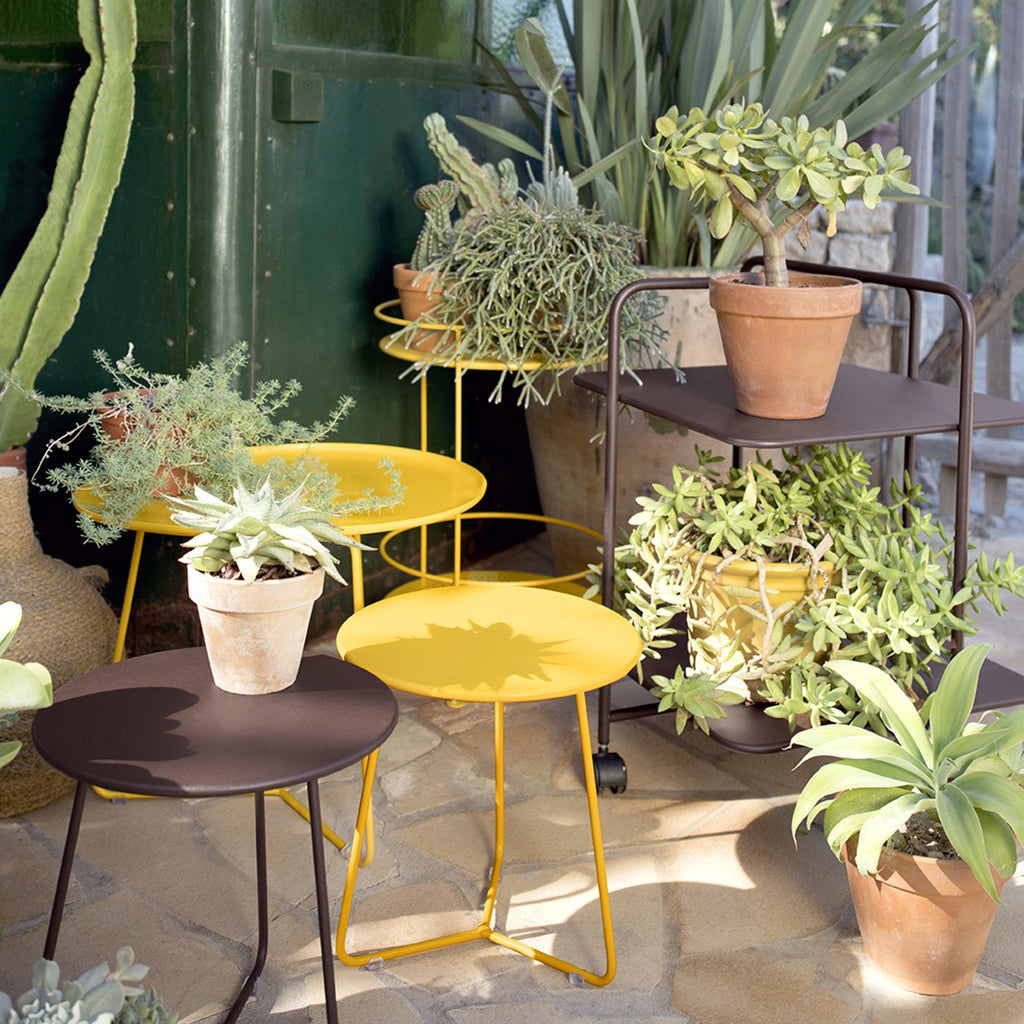 Cocotte S.Table Low-Chili
