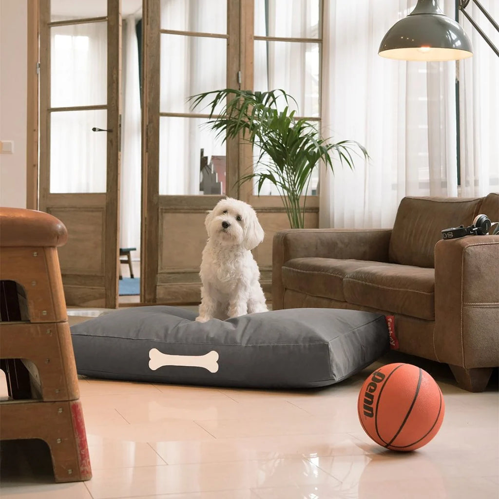 Doggielounge Dog Bed