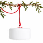 Thierry Le Swinger Light Red